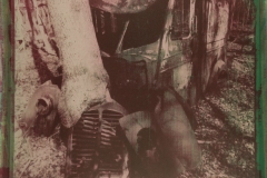 Crash-the-Photograph-e