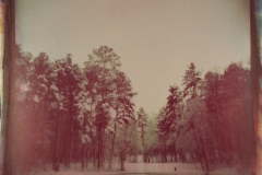 Pond-Winter-e